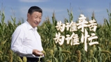 微视频丨为谁辛苦为谁忙